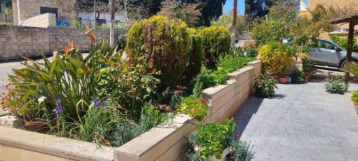 Droushia Holiday Apartments Dhrousha Εξωτερικό φωτογραφία