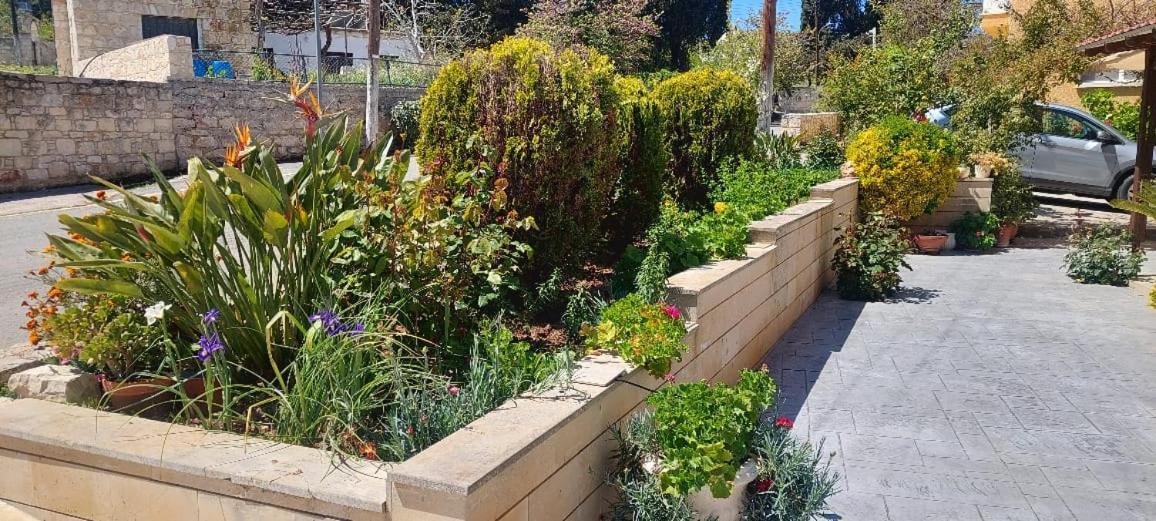 Droushia Holiday Apartments Dhrousha Εξωτερικό φωτογραφία