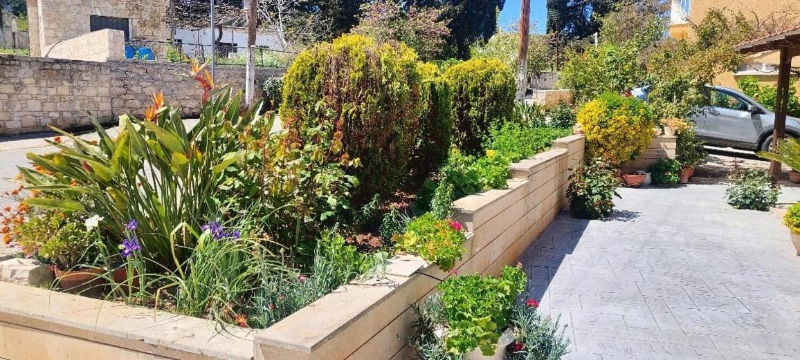 Droushia Holiday Apartments Dhrousha Εξωτερικό φωτογραφία