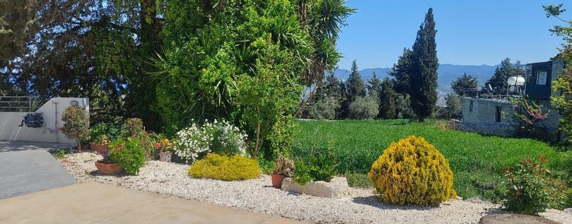 Droushia Holiday Apartments Dhrousha Εξωτερικό φωτογραφία